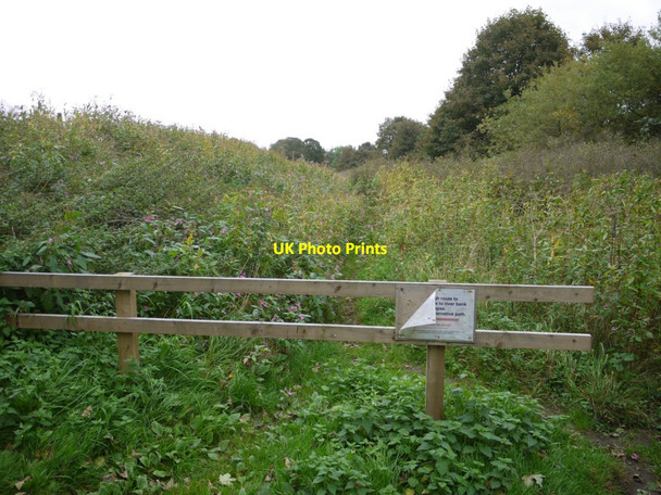 Photo 6"x4" Overgrown and (temporarily) closed riverside path Prudhoe c2013