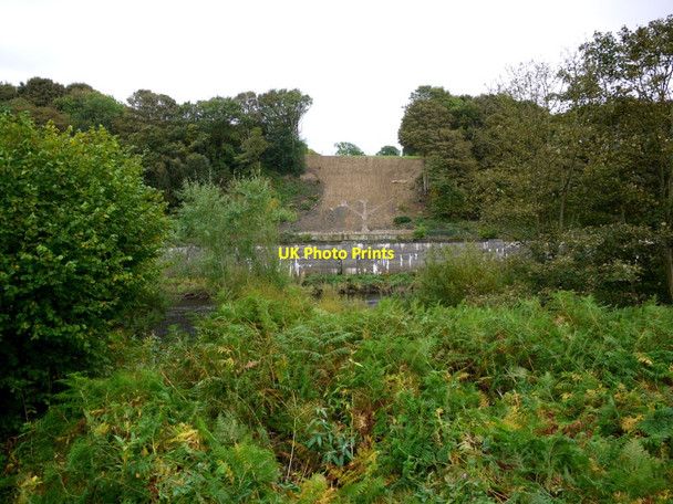 Photo 6"x4" Site of riverside bank consolidation at Eltringham Scar Prudhoe c2013
