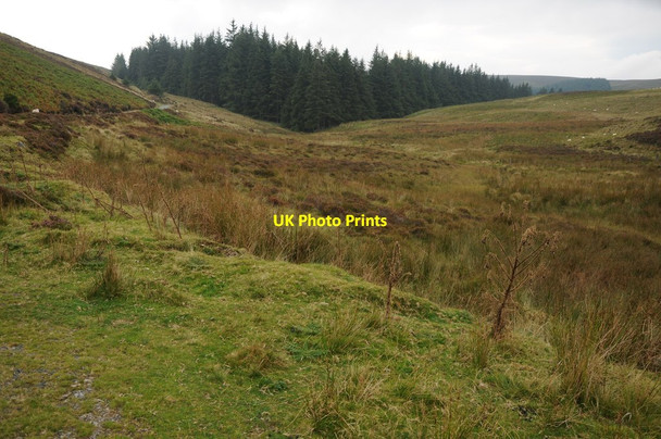 Photo 6"x4" Moorland around Nant Nadroedd Fawr Nant Cwm-lloi c2013