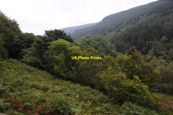 Photo 6"x4" Above Eunant Fawr Eunant c2013