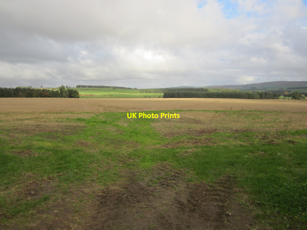 Photo 6"x4" Looking across arable land towards The Letch East Horton c2013