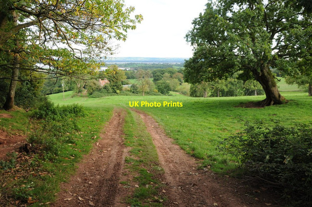 Photo 6"x4" Track and bridleway Grange Village c2013