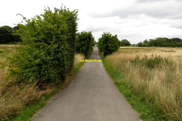 Photo 6"x4" The track to Pinkhill Lock Swinford\/SP4408 c2013