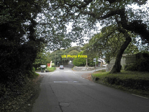 Photo 6"x4" Falmouth garden centre entrance on Swanpool Road Falmouth c2013