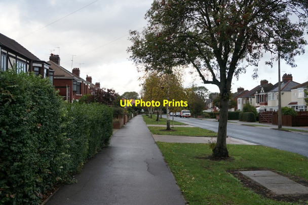 Photo 6"x4" Marfleet Lane, Hull Sutton Ings\/TA1231 c2013