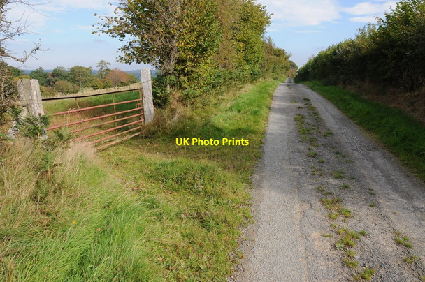 Photo 6"x4" Gate off a public byway Pont Llogel c2013