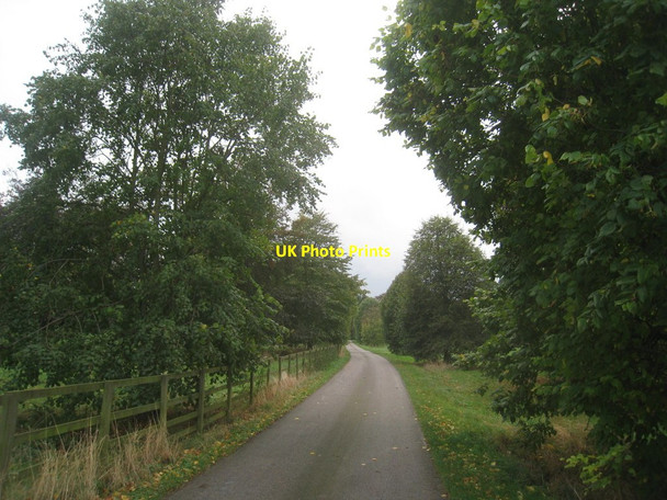 Photo 6"x4" The approach to Dairy Farm, Saltmarshe Saltmarshe c2013