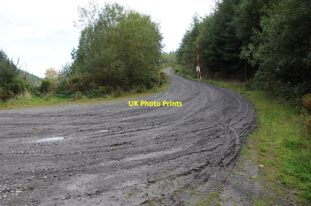 Photo 6"x4" Forest road into Yr Allt-Boeth Dd\u00f4l Cownwy c2013