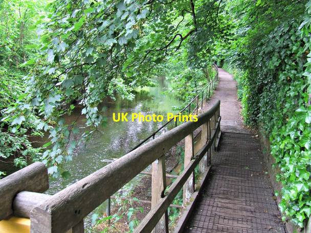 Photo 6"x4" Path by the Water of Leith Craigleith\/NT2374 c2013
