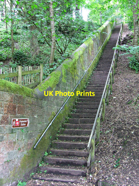 Photo 6"x4" Steps to Magdala Crescent Craigleith\/NT2374 c2013