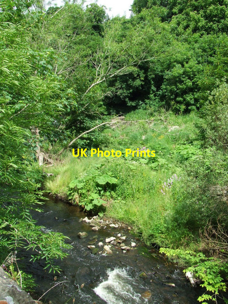 Photo 6"x4" The Water of Leith Craigleith\/NT2374 c2013