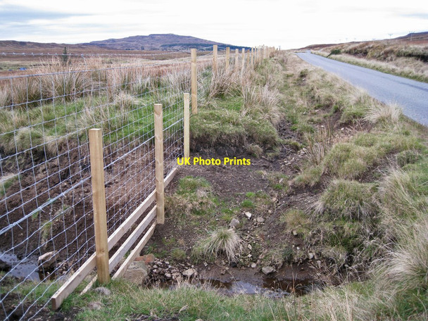 Photo 6"x4" New roadside fence Horneval c2013
