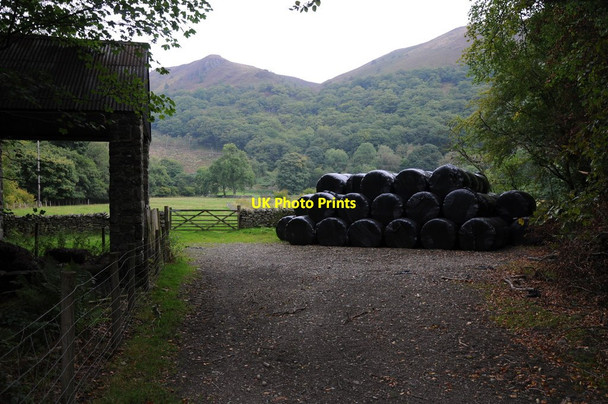 Photo 6"x4" Silage bales at Pont Rhiwargor Alltforgan c2013