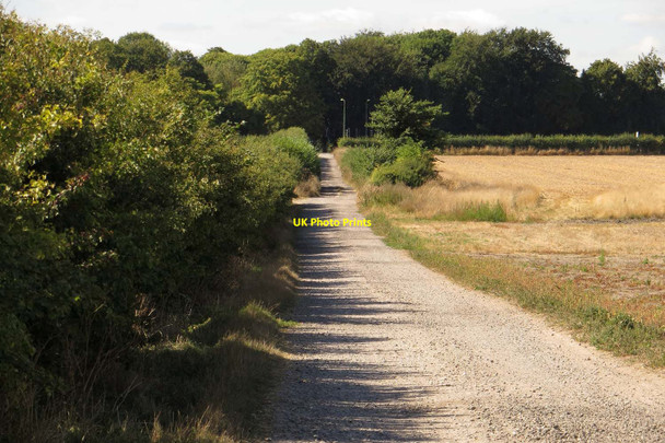 Photo 6"x4" The Icknield Way to Wantage Chilton\/SU4885 c2013