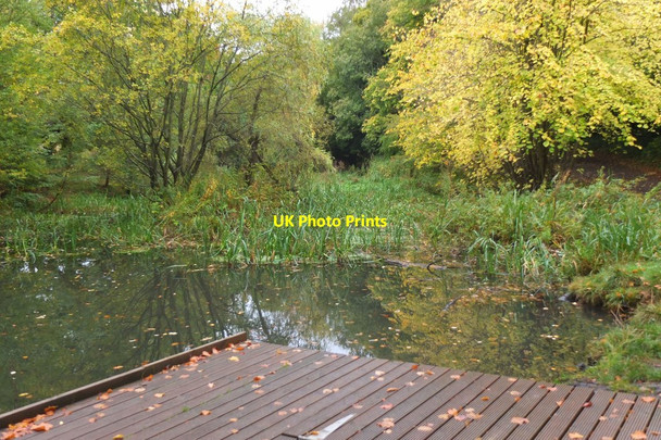 Photo 6"x4" Pond, Vogrie Country Park Dewartown c2013