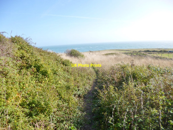 Photo 6"x4" Portland, footpath Southwell\/SY6870 c2013