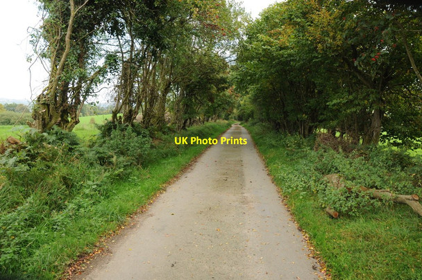 Photo 6"x4" Road to Ty'n-y-twll Llangadfan c2013