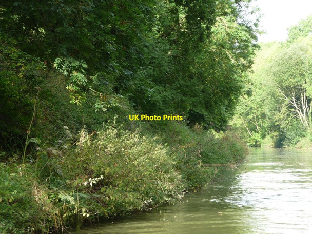 Photo 6"x4" North [non-towpath] bank, Kennet & Avon canal Burbage\/SU2361 c2013