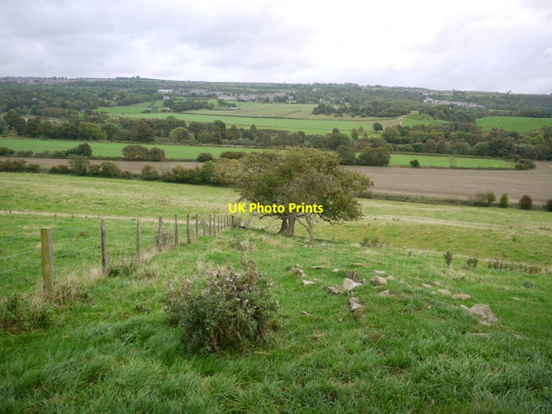 Photo 6"x4" Old boundary south of Ovington Ovington\/NZ0663 c2013