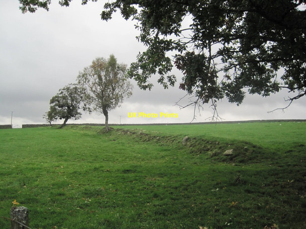 Photo 6"x4" Old Field Boundary near Greenhaugh Greenhaugh\/NY7987 c2013