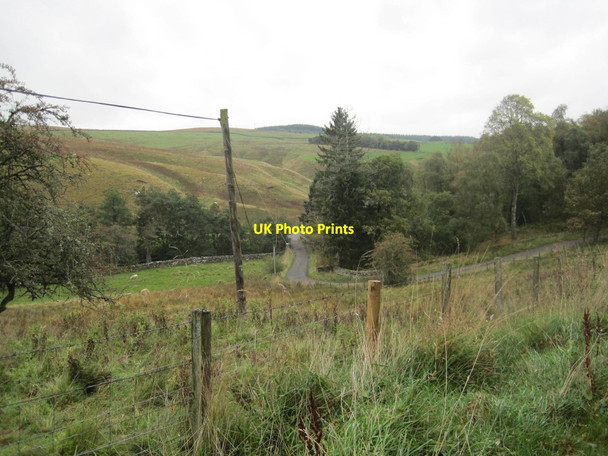 Photo 6"x4" Road towards Greenhaugh Greenhaugh\/NY7987 c2013