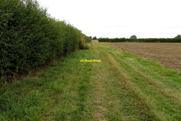 Photo 6"x4" Bridleway to Newbridge Longworth\/SU3999 c2013