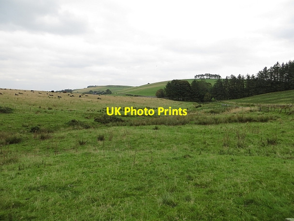 Photo 6"x4" Pond by Newhill Duncrievie c2013