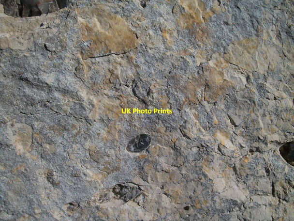 Photo 6"x4" Flints in the Ballintoy Chalk Member Ballintoy c2013