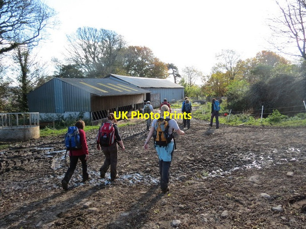 Photo 6"x4" Plas y Fforest Farm Fforest\/SN5804 c2012