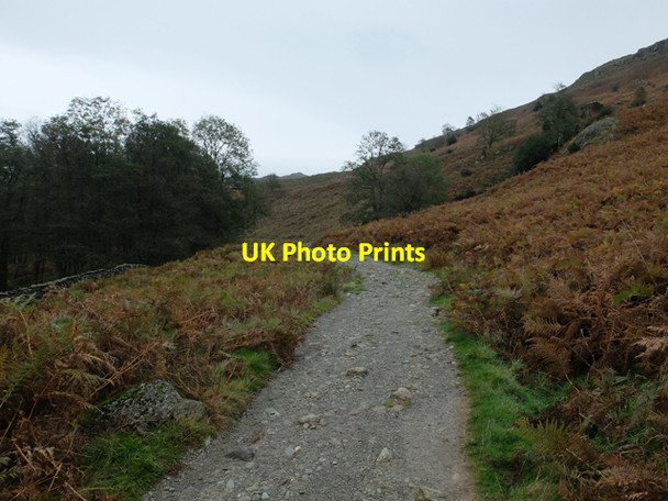 Photo 6"x4" Path south of Rydal Water Ambleside c2013