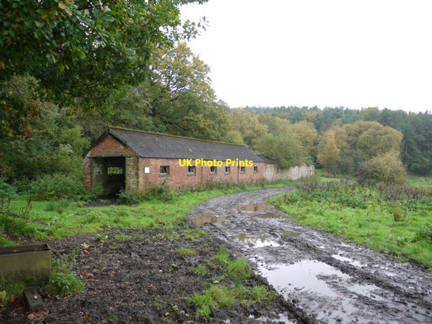 Photo 6"x4" Old buildings south-west of Pontop Hall Dipton c2013
