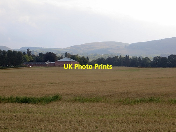 Photo 6"x4" Stubble, Kilgraston Kintillo c2013