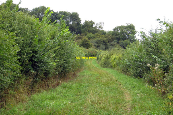 Photo 6"x4" Footpath up Harrowdown Hill Longworth\/SU3999 c2013