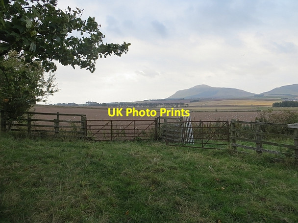 Photo 6"x4" Fields near Muirage Burnside\/NO1608 c2013