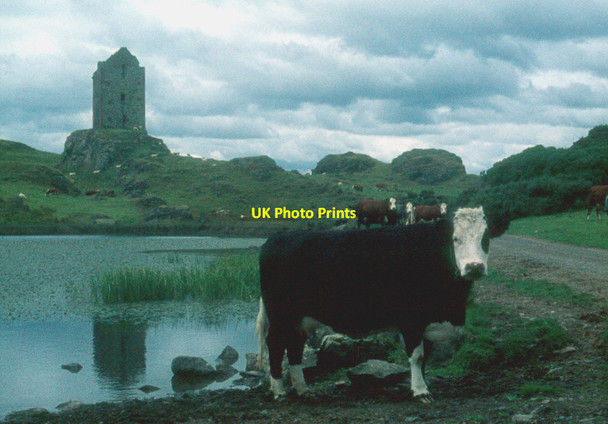 Photo 6"x4" Smailholm Tower East Third\/NT6436 c1976