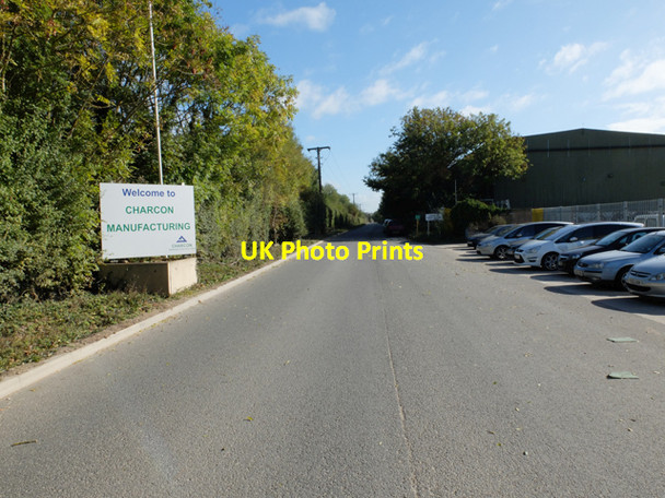 Photo 6"x4" Charcon Plant Lound\/SK6986 c2013