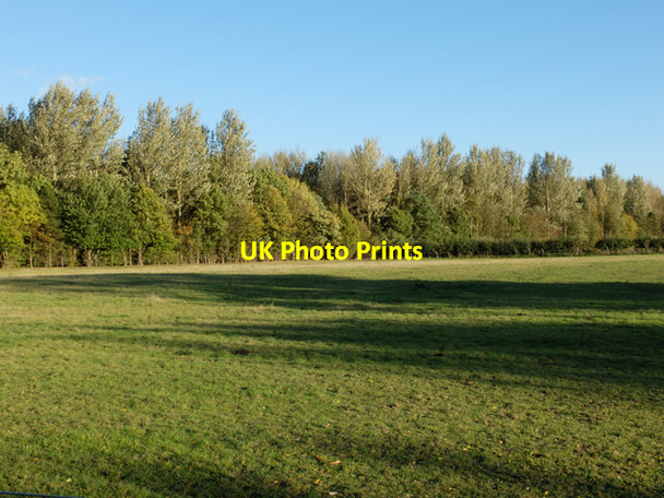 Photo 6"x4" Trees by Lound sewage works Lound\/SK6986 c2013