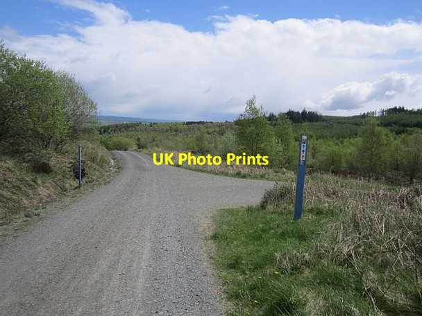 Photo 6"x4" Logging road, Mabie Woodhead\/NX9171 c2013