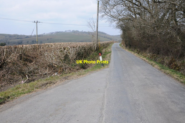 Photo 6"x4" Country road to Whitland Abbey Hendy-Gwyn c2013