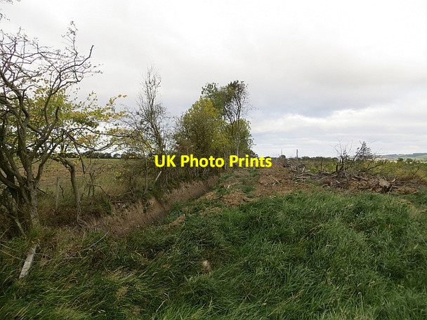 Photo 6"x4" Ditch and replanted wood Carrington\/NT3160 c2013