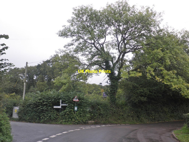 Photo 6"x4" Turning for Triscombe Heathfield\/ST1633 c2013