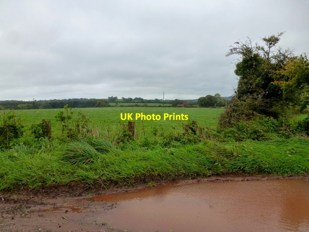 Photo 6"x4" Trellech plateau Cotland\/SO5004 c2013
