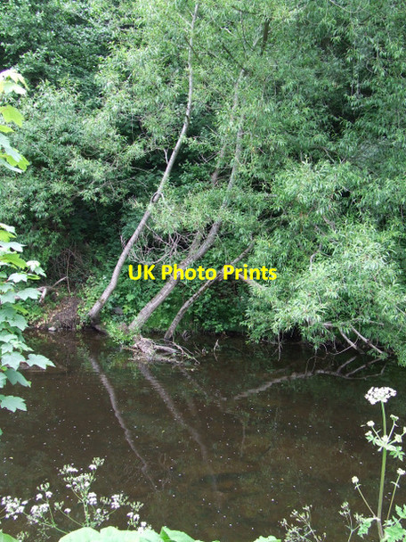 Photo 6"x4" Water of Leith Craigleith\/NT2374 c2013