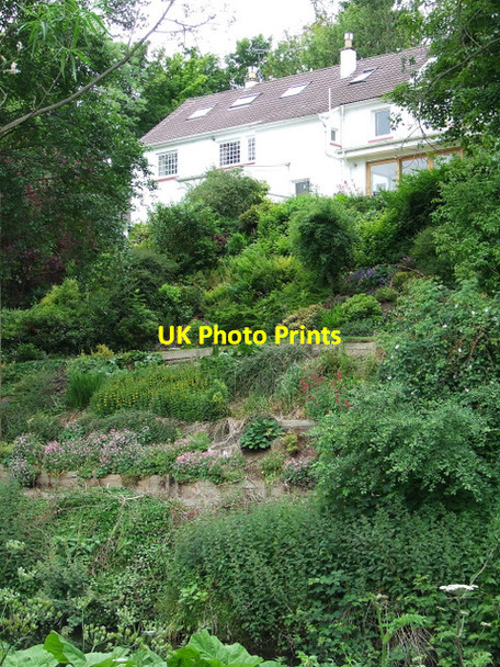 Photo 6"x4" Terraced garden Water of Leith Craigleith\/NT2374 c2013