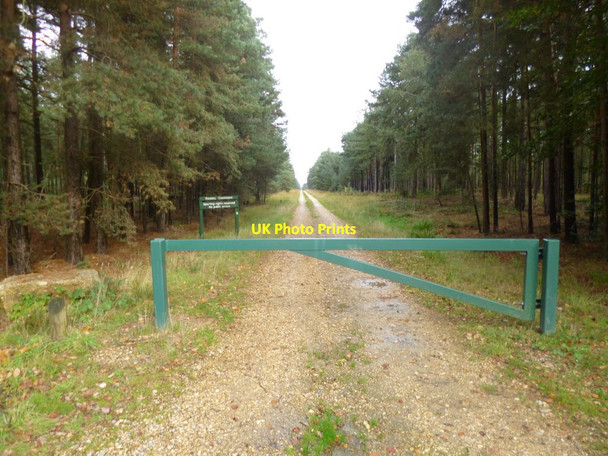 Photo 6"x4" Somerley, gateway Ebblake c2013