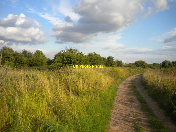 Photo 6"x4" Bridleway north of Gotham Gotham\/SK5330 c2013
