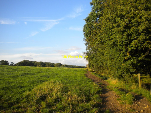 Photo 6"x4" Pasture on Gotham Hill Gotham\/SK5330 c2013