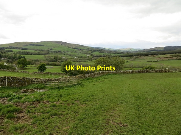 Photo 6"x4" Grassland, Mallaby Irongray c2013