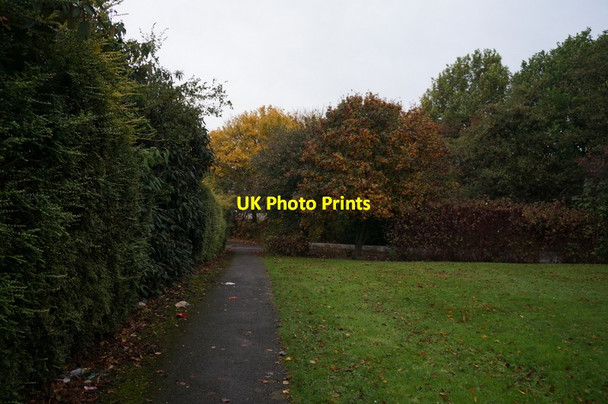 Photo 6"x4" A path leading to Mount Pleasant, Hull Kingston upon Hull c2013