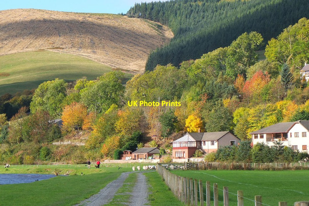 Photo 6"x4" Autumn colours above the Tweed, Walkerburn Innerleithen c2013